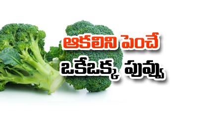  Broccoli Benifits In Food Habits-TeluguStop.com