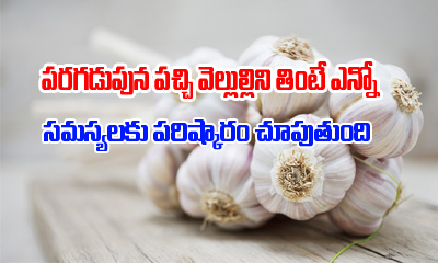  Garlic Health Benefits-TeluguStop.com