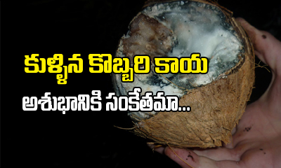  Spoiled Coconut In Puja Is It A Bad Sign1-TeluguStop.com