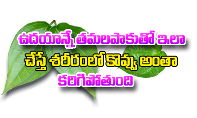  Betel Leaf Remedies For Weight Loss-TeluguStop.com