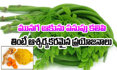  Health Benefits Of Eating Cooked Drumstick Leaves With Turmeric-TeluguStop.com