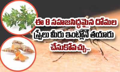  8 Natural Mosquito Sprays You Can Make At Home-TeluguStop.com