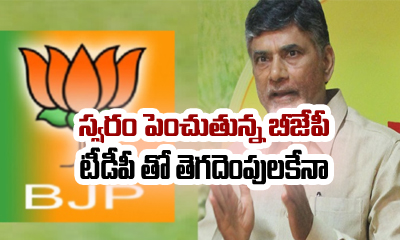  Ap Minister Fire On Ap Cm Chandrababu-TeluguStop.com