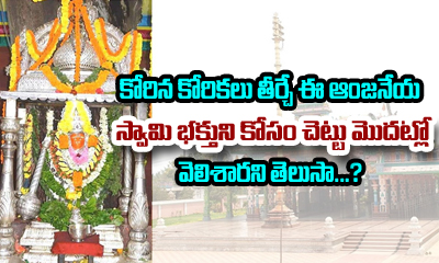  History Of Maddi Anjaneya Swamy Temple In West Godavari-TeluguStop.com