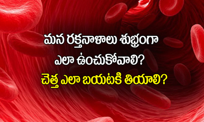  How To Clean Your Blood Vessels 1-TeluguStop.com