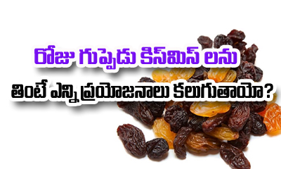  Raisins Health Benefits-TeluguStop.com