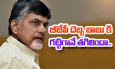  Chandrababu Fire West Godavari Tdp Zp Chairman-TeluguStop.com