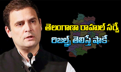  Rahul Gandhi Survey Shocking Result On Telangana-TeluguStop.com