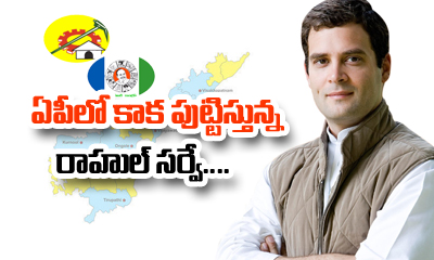  Rahul Gandhi Survey About Ap Politics-TeluguStop.com