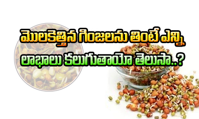  Health Benefits Of Sprouts Telugu-TeluguStop.com