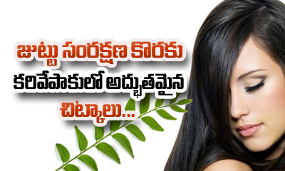  Home Remedies Using Curry Leaves For Hair Care-TeluguStop.com