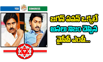  Janasena , Ysrcp Alliance Fix Ysr Mp Shocking Comments-TeluguStop.com