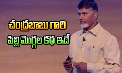  Chandrababu Gari Pilli Moggalu Katha Edhe-TeluguStop.com