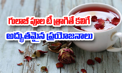  Rose Petals Tea Health Benefits-TeluguStop.com