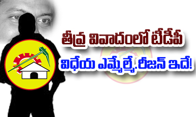  Vivadham Lo Tdp Mla-TeluguStop.com