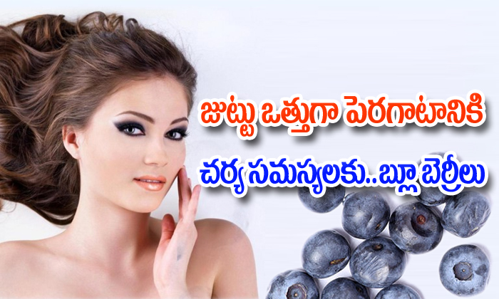  Blueberries Benefits In Skin And Hair-TeluguStop.com