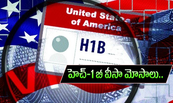  H1b Visa Frauds-TeluguStop.com