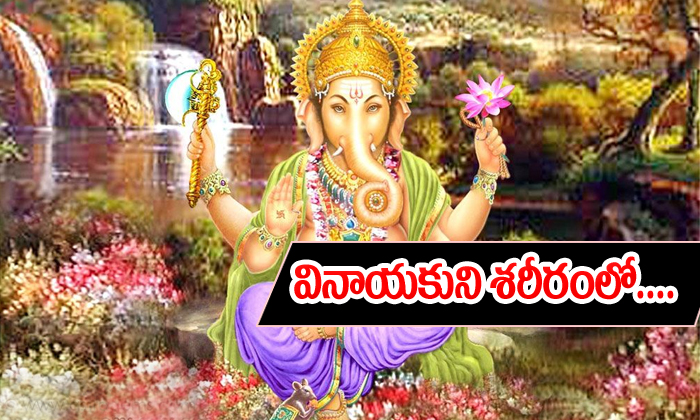  Lord Vinayakaspecialty-TeluguStop.com