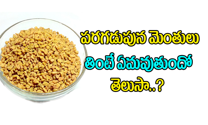  What Are The Benefits Of Soaking Fenugreek Seeds-TeluguStop.com