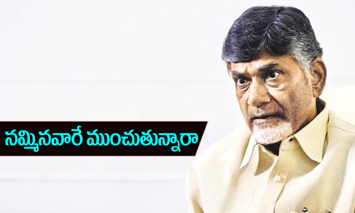  Kadapa District Dp Group Politics-TeluguStop.com