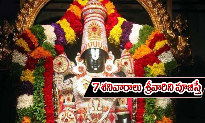  Sri Venkateswara Swamis Seven Saturdays Vratham-TeluguStop.com