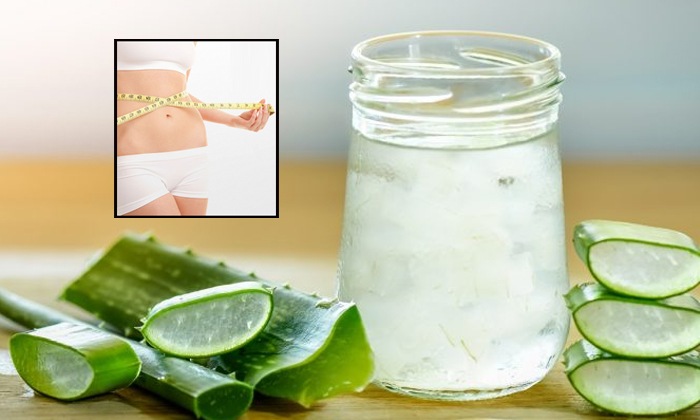  Benefits Of Aloe Vera Juice For Weight Loss-TeluguStop.com