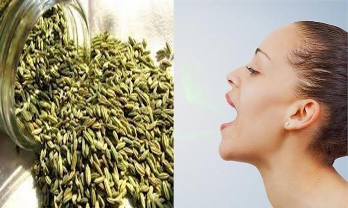  Health Benefits Of Fennel Seeds 2-TeluguStop.com