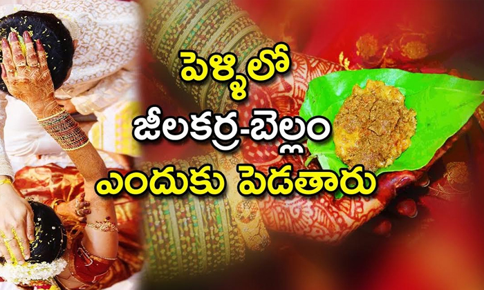  Significanceof Jeelakarra Bellam In Marriages-TeluguStop.com