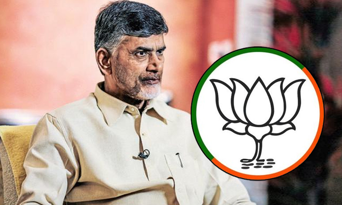 Chandrababu Commentson Bjp Chandrababu Commentson Bjp-TeluguStop.com
