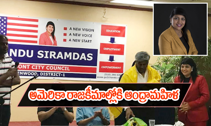  Andhra Nri Woman In To American Politics-TeluguStop.com