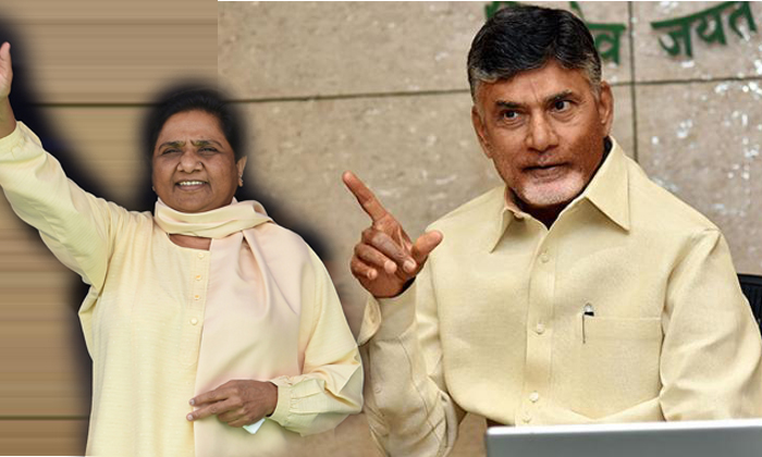 Chandrababu Political Sketch In Ap Politics Chandrababu Political Sketch In Ap Politics-TeluguStop.com