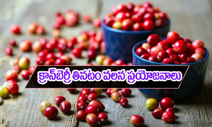  Cranberries Health Benefits-TeluguStop.com