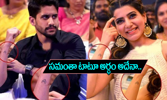  Fan Explains Naga Chaitanyas Tattoo And Even Samantha-TeluguStop.com