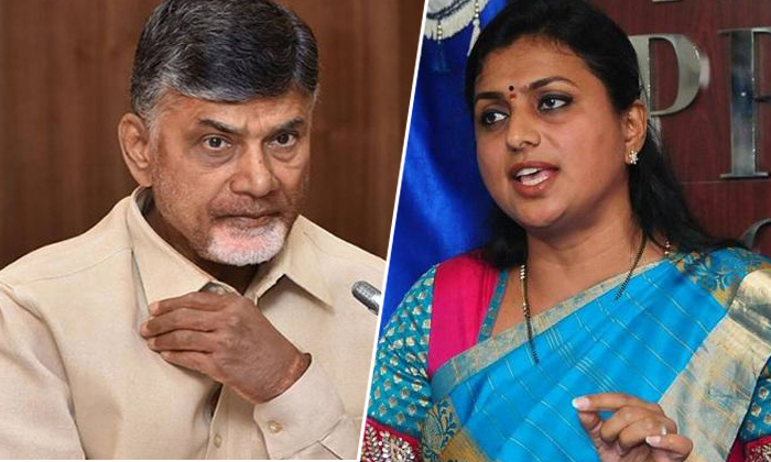  Mla Roja Stong Counter To Nara Chandrababu Naidu-TeluguStop.com