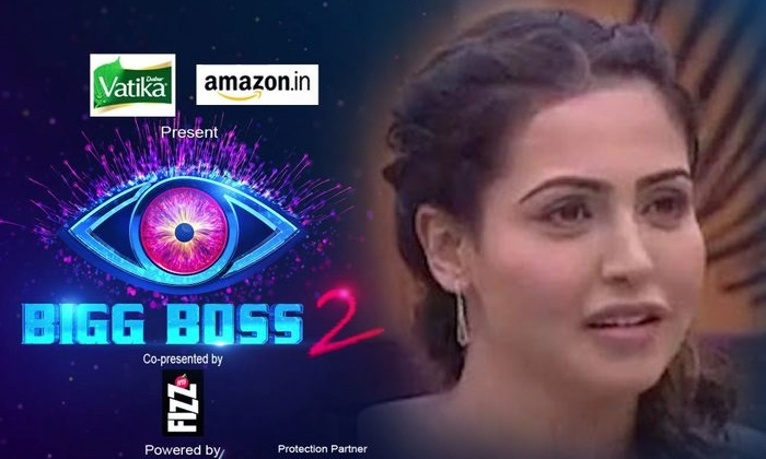  Nandini Was Cried In Bigg Boss 2 Telugu-TeluguStop.com