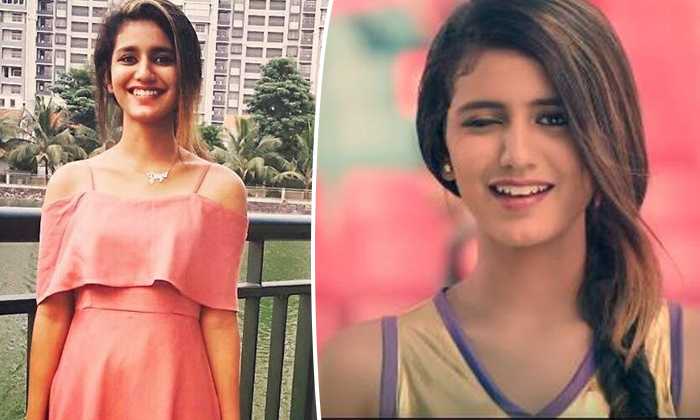  Priya Prakash Varrier Income Decreases-TeluguStop.com