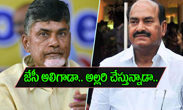  Tdp Mp Jc Diwakar Reddy Refuses To Attend Crucial Session-TeluguStop.com