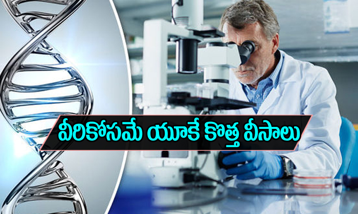  Uk Launches New Visa Scheme For Scientists-TeluguStop.com