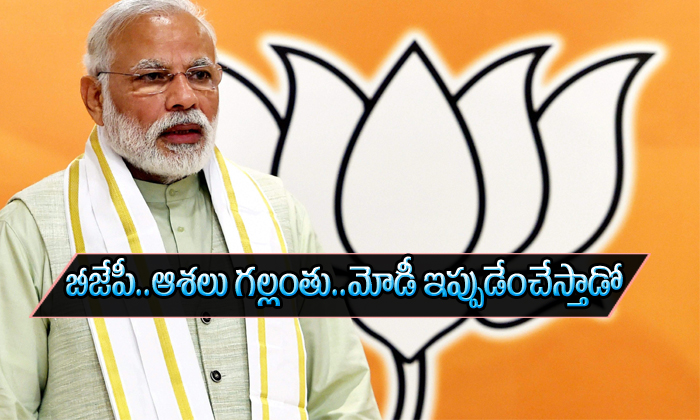 Bjp Expectations Spoiled What Modi Will Do Bjp Expectations Spoiled What Modi Will Do-TeluguStop.com