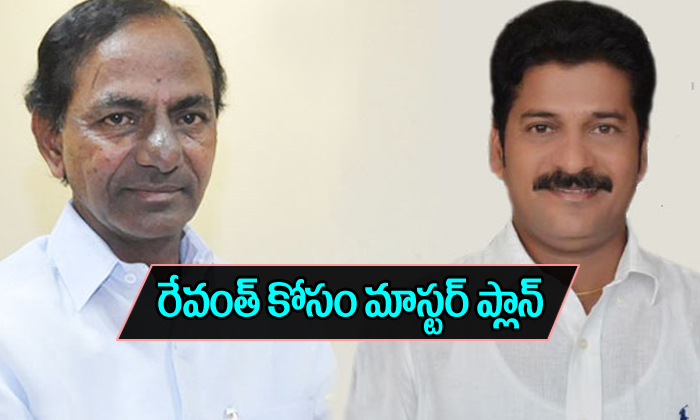  Kcr Master Plan In Kodangal Constituency-TeluguStop.com