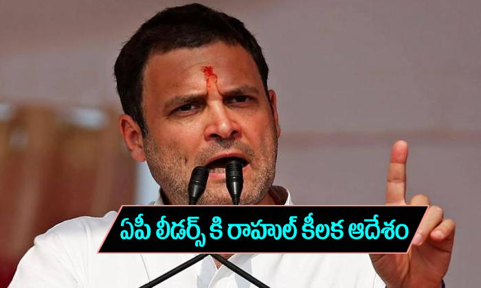  Rahul Order To Ap Congress Leaders-TeluguStop.com