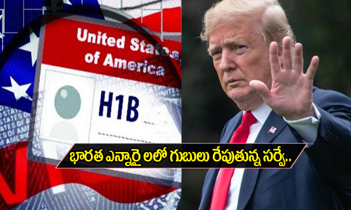  Trump Takes Survey On Indian Nris-TeluguStop.com