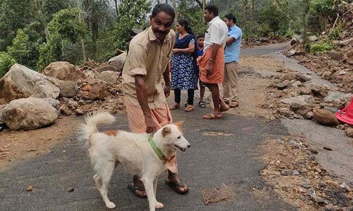  Dog Saves Kerala Family From Devastating Landslide-TeluguStop.com
