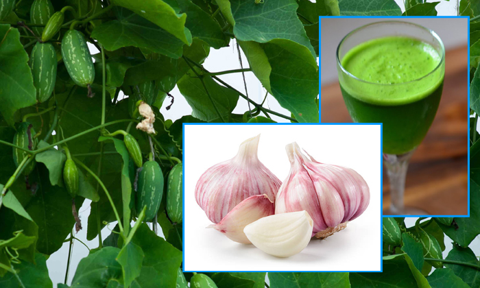  Dondakaya Leaf Health Benefits-TeluguStop.com