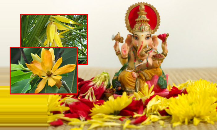  Everything You Need To Know About Flowers Offered To Hindu Deities-TeluguStop.com