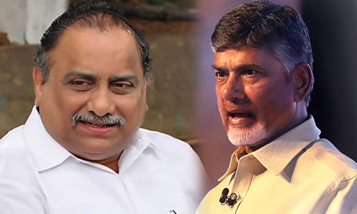  Kapu Leader Mudragada Ready To Join Tdp-TeluguStop.com