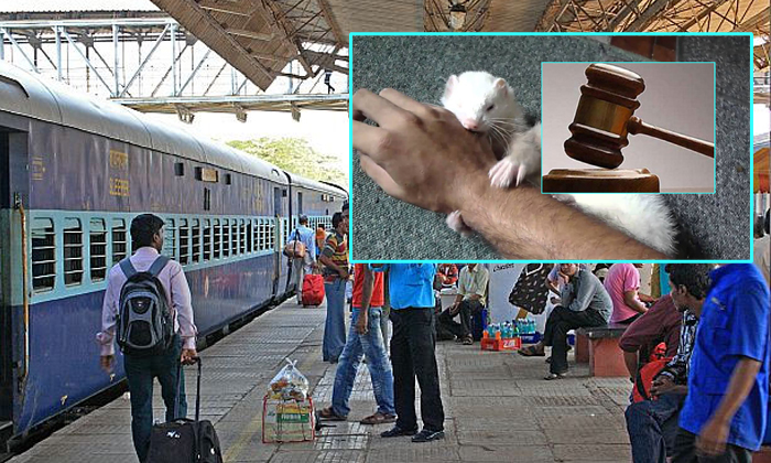  Railways Ordered To Pay Rs 30000 Compensation To Victim Of Rat Bite-TeluguStop.com