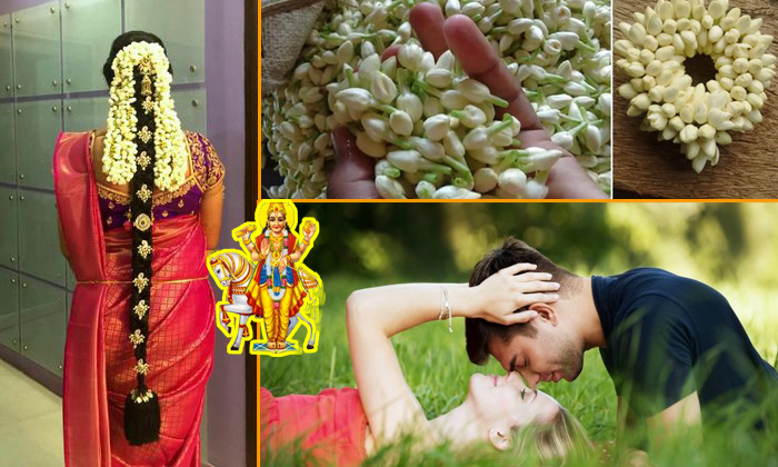  Do You Know If You Bring Mallepulu Jasmins For Your Wife-TeluguStop.com