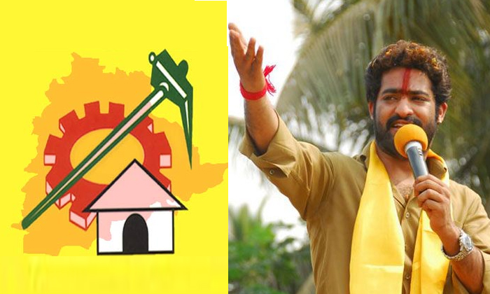  Jr Ntr As Telangana Tdp President Conditions Appaly-TeluguStop.com