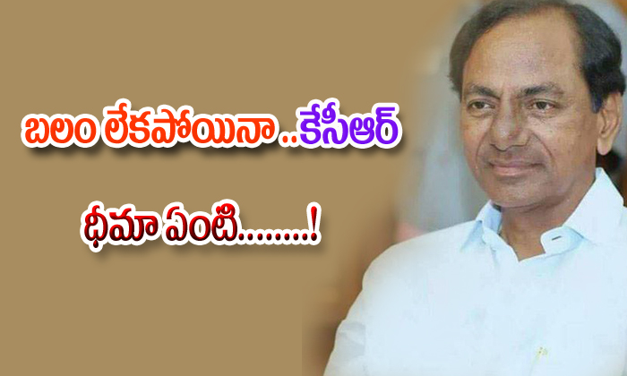  What Is The Strength Of Kcr In Elections 2019-TeluguStop.com